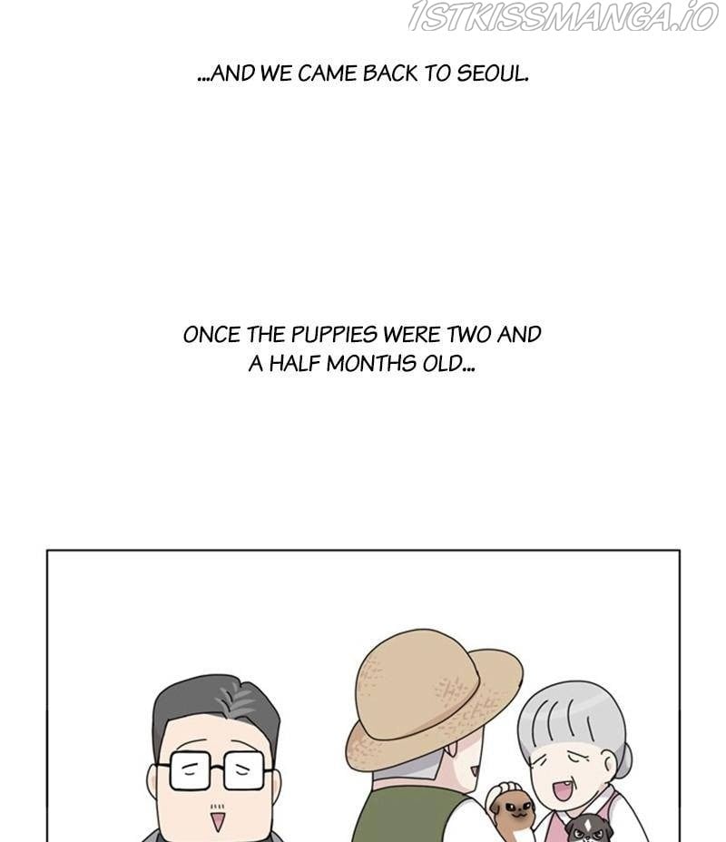 The Dog Diaries Chapter 34 - page 59