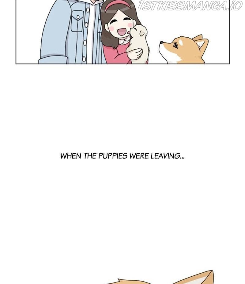 The Dog Diaries Chapter 34 - page 61