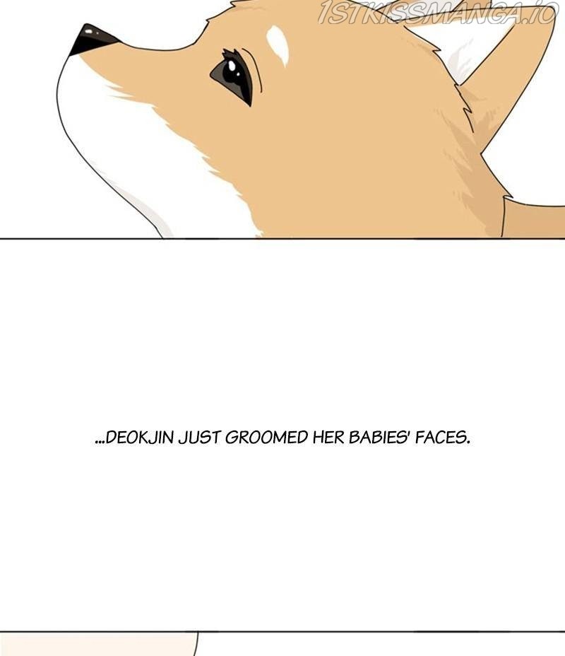 The Dog Diaries Chapter 34 - page 62