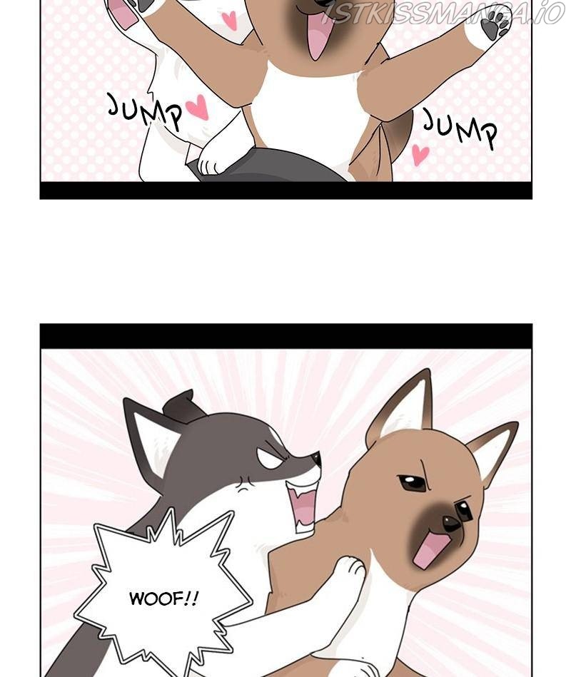 The Dog Diaries Chapter 34 - page 73