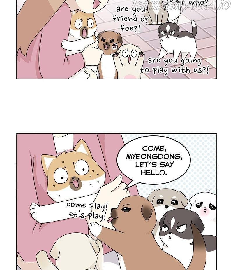 The Dog Diaries Chapter 33 - page 4