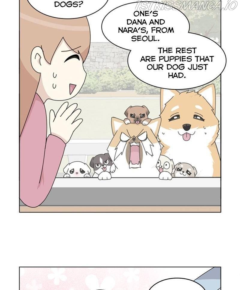 The Dog Diaries Chapter 33 - page 66