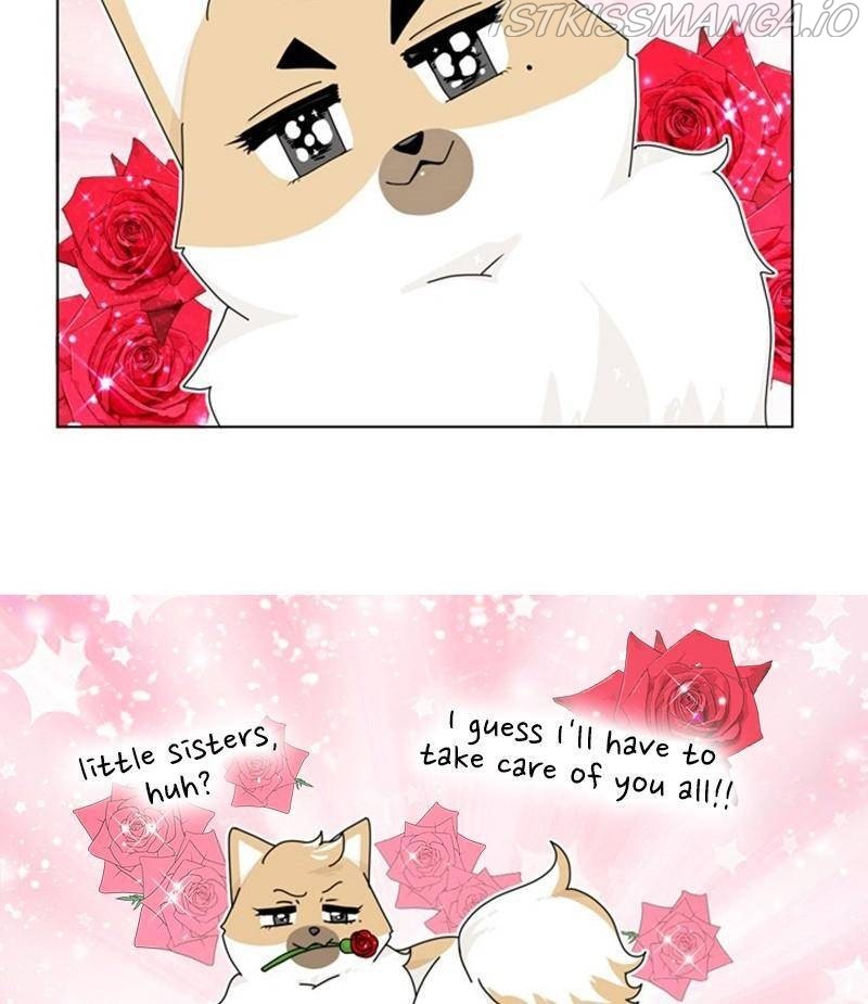 The Dog Diaries Chapter 33 - page 8