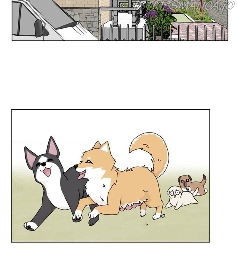 The Dog Diaries Chapter 32 - page 14