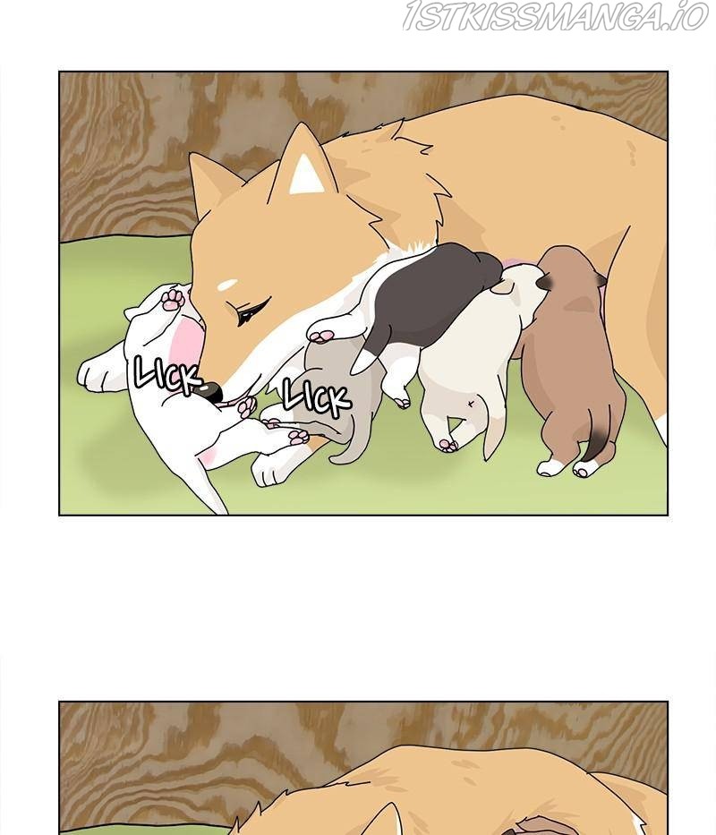 The Dog Diaries Chapter 31 - page 38