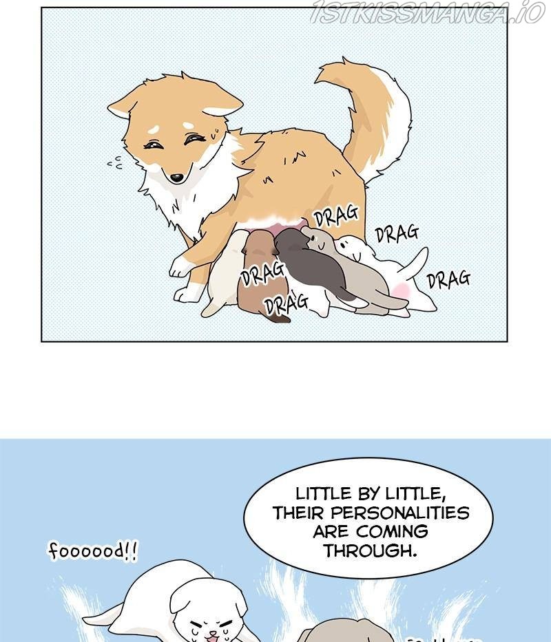 The Dog Diaries Chapter 31 - page 61