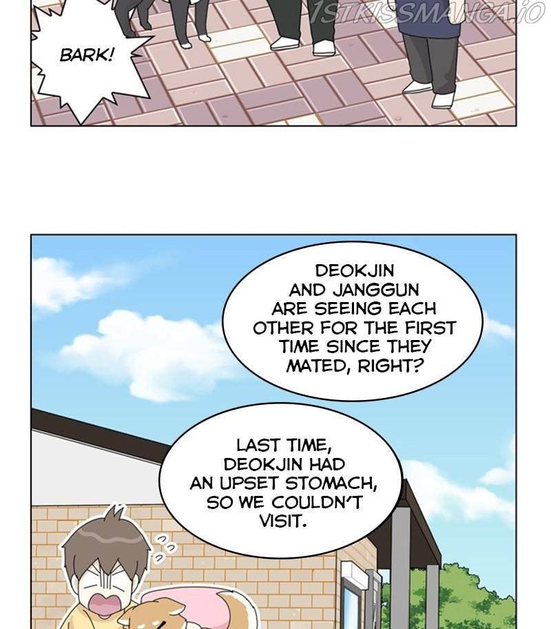 The Dog Diaries Chapter 31 - page 69