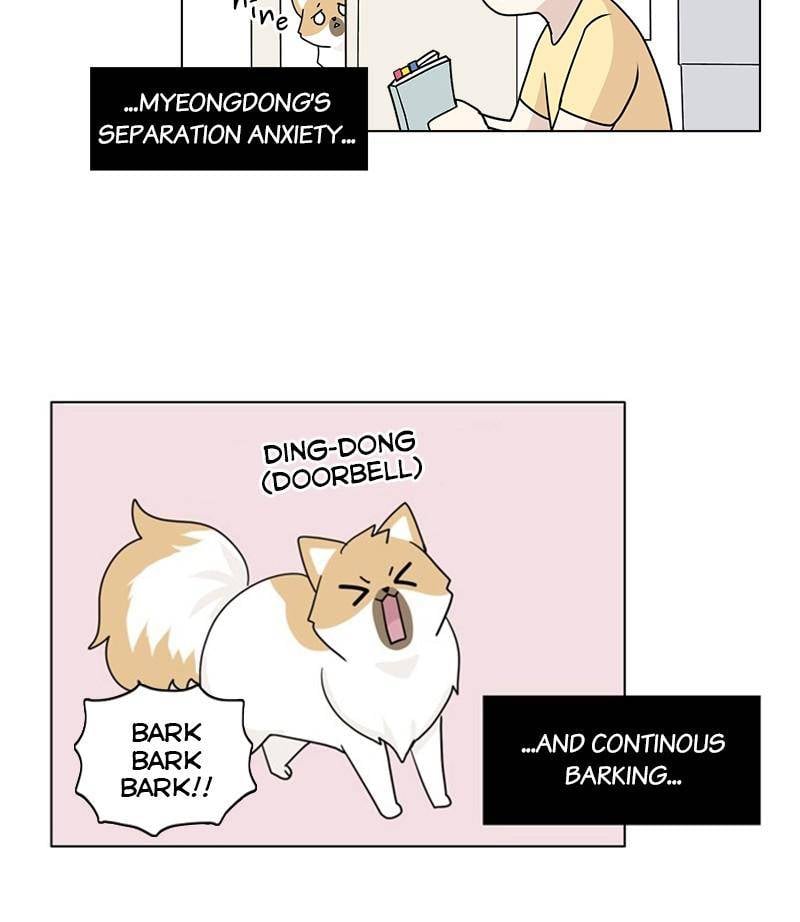 The Dog Diaries Chapter 29 - page 57