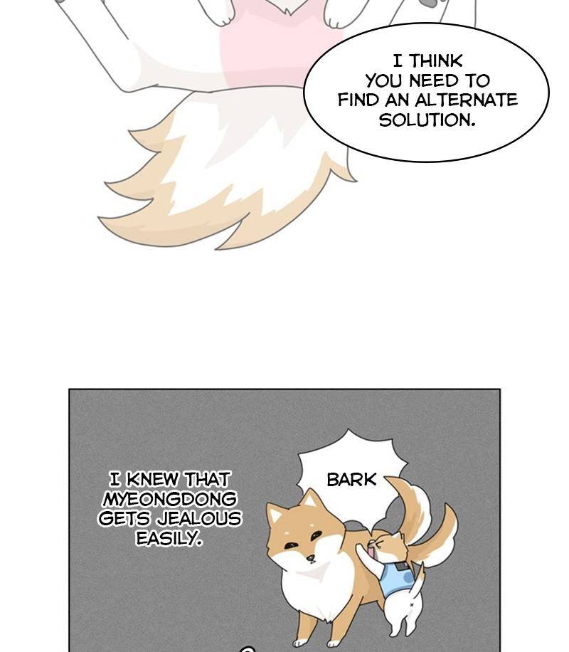 The Dog Diaries Chapter 28 - page 16