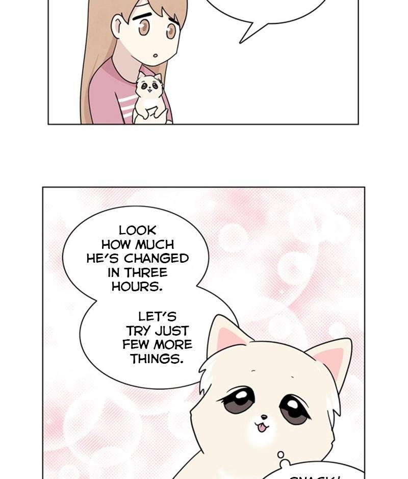 The Dog Diaries Chapter 28 - page 43