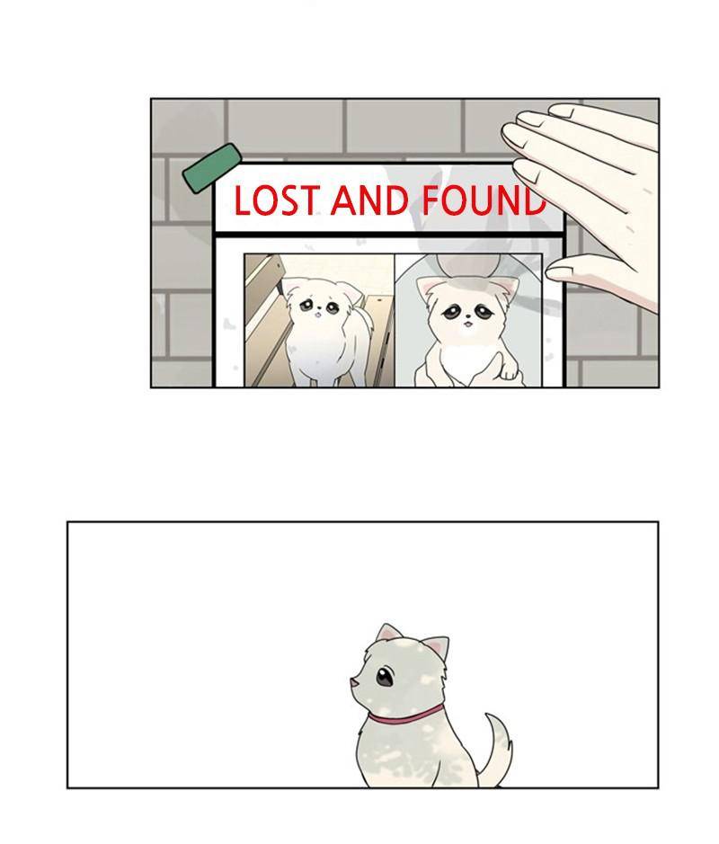 The Dog Diaries Chapter 28 - page 59