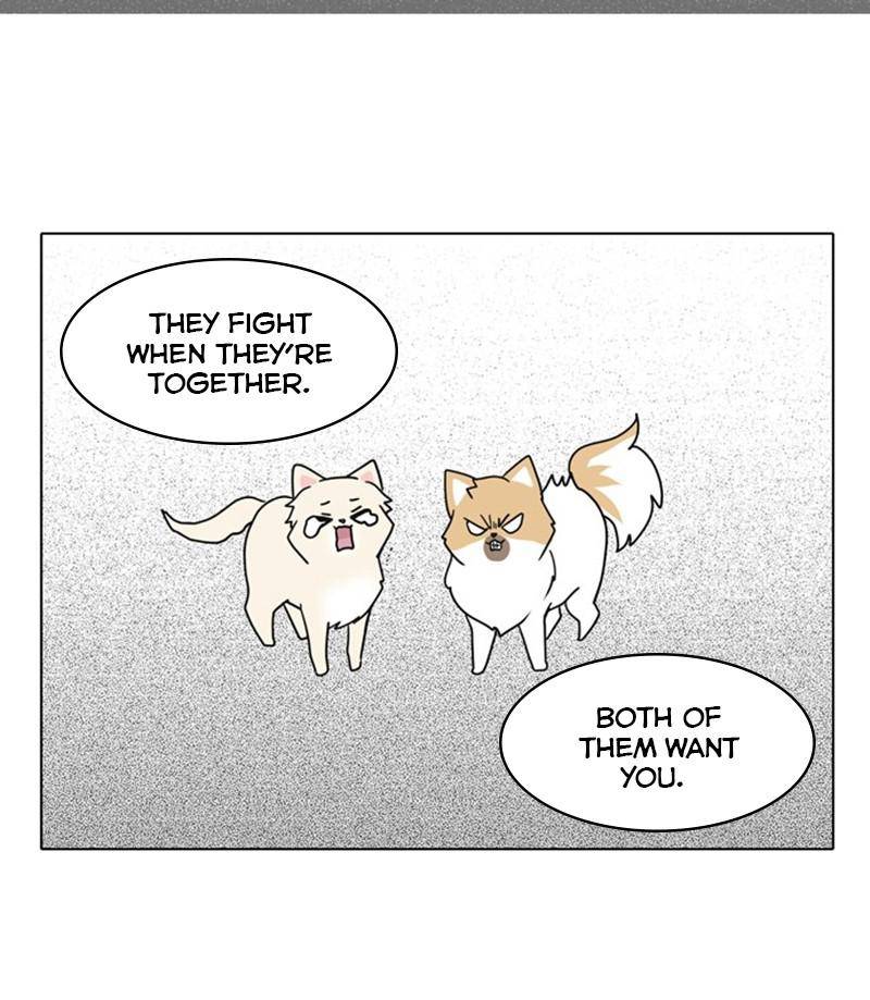 The Dog Diaries Chapter 27 - page 53