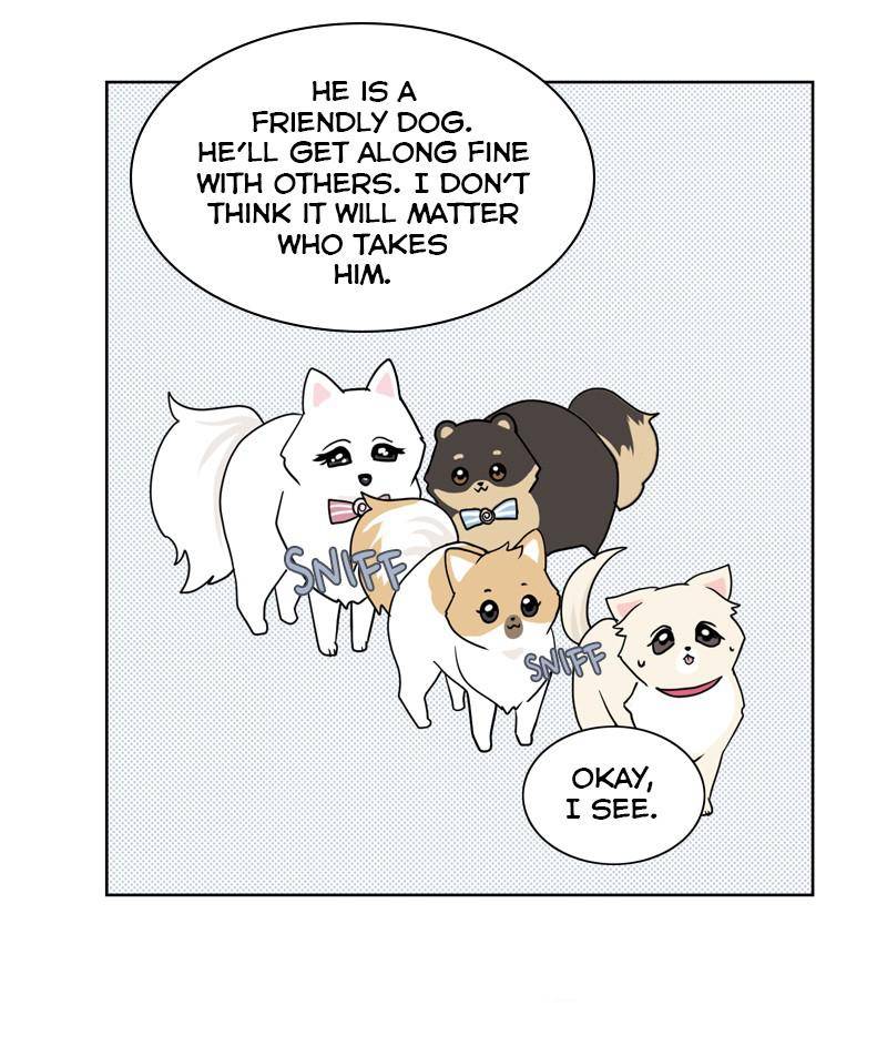 The Dog Diaries Chapter 26 - page 32