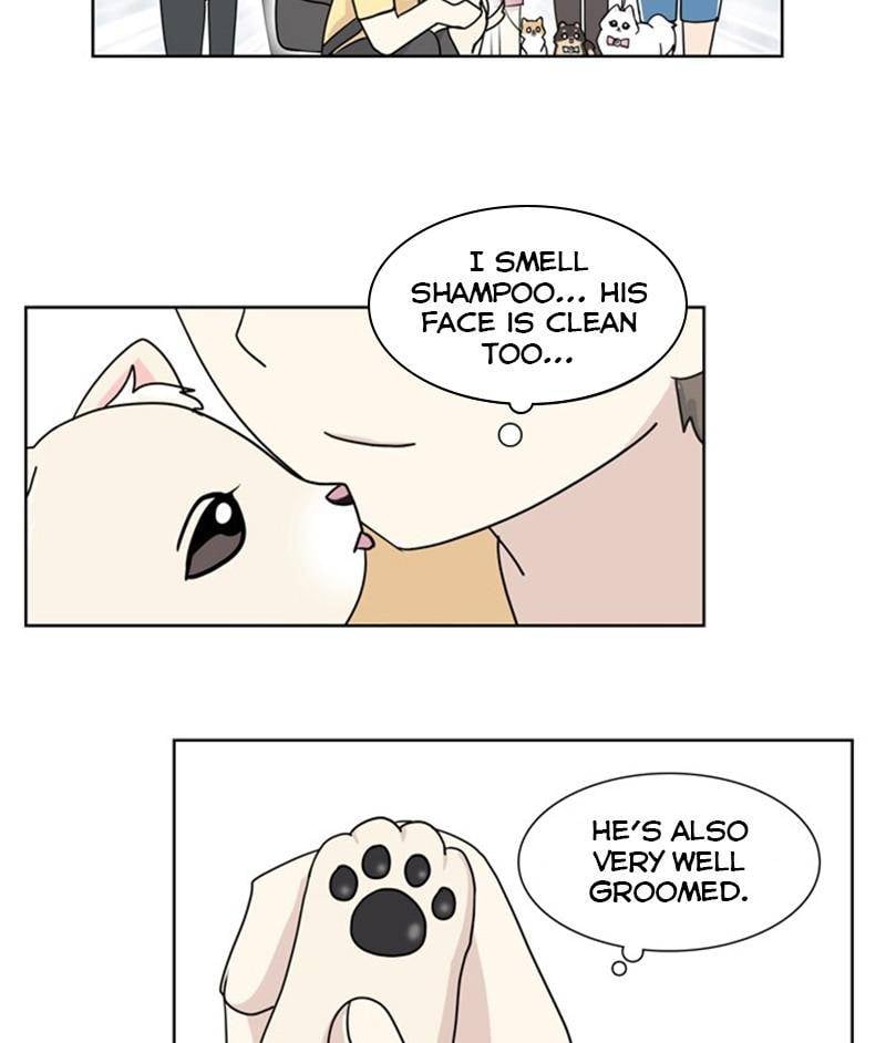 The Dog Diaries Chapter 26 - page 37