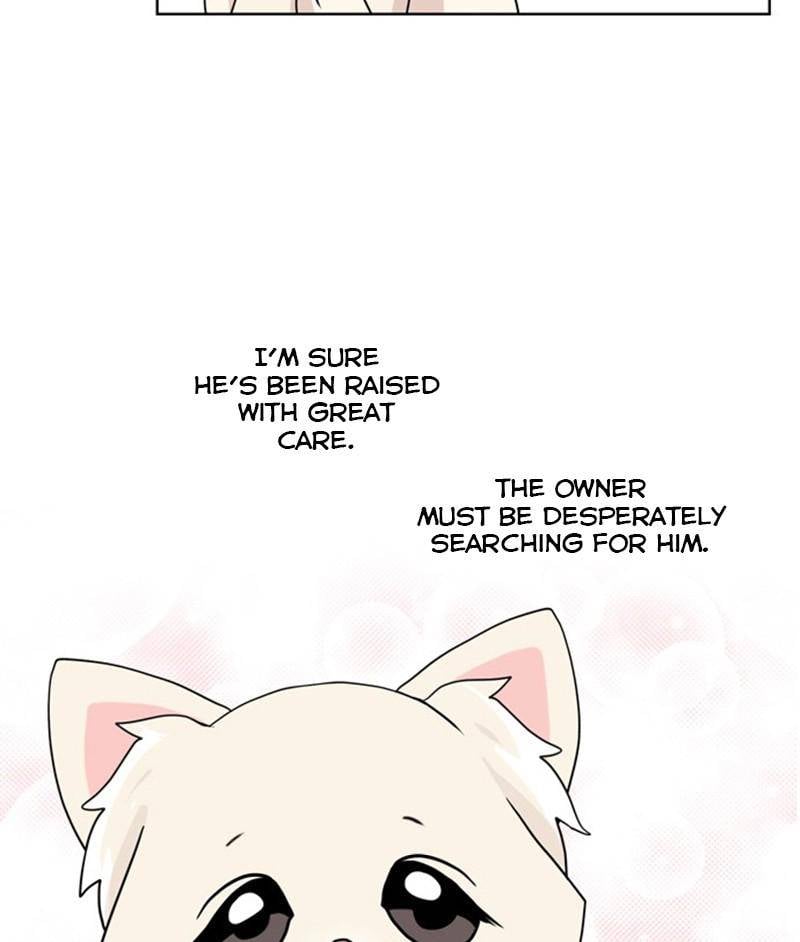 The Dog Diaries Chapter 26 - page 38