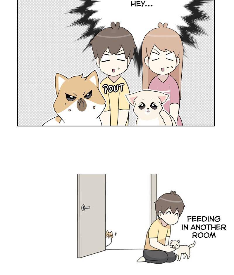 The Dog Diaries Chapter 26 - page 53