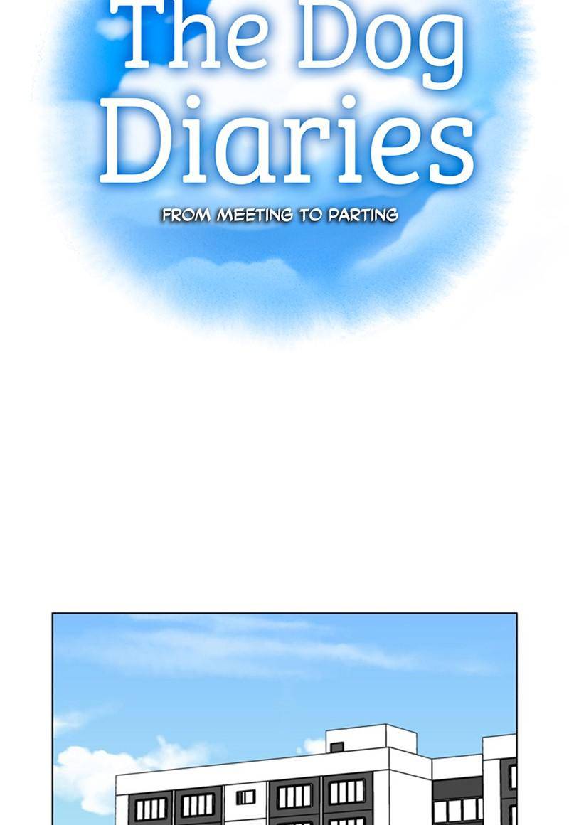 The Dog Diaries Chapter 25 - page 9
