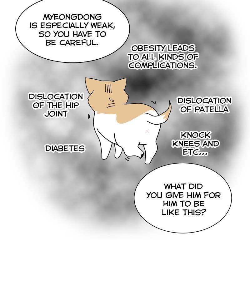 The Dog Diaries Chapter 24 - page 13