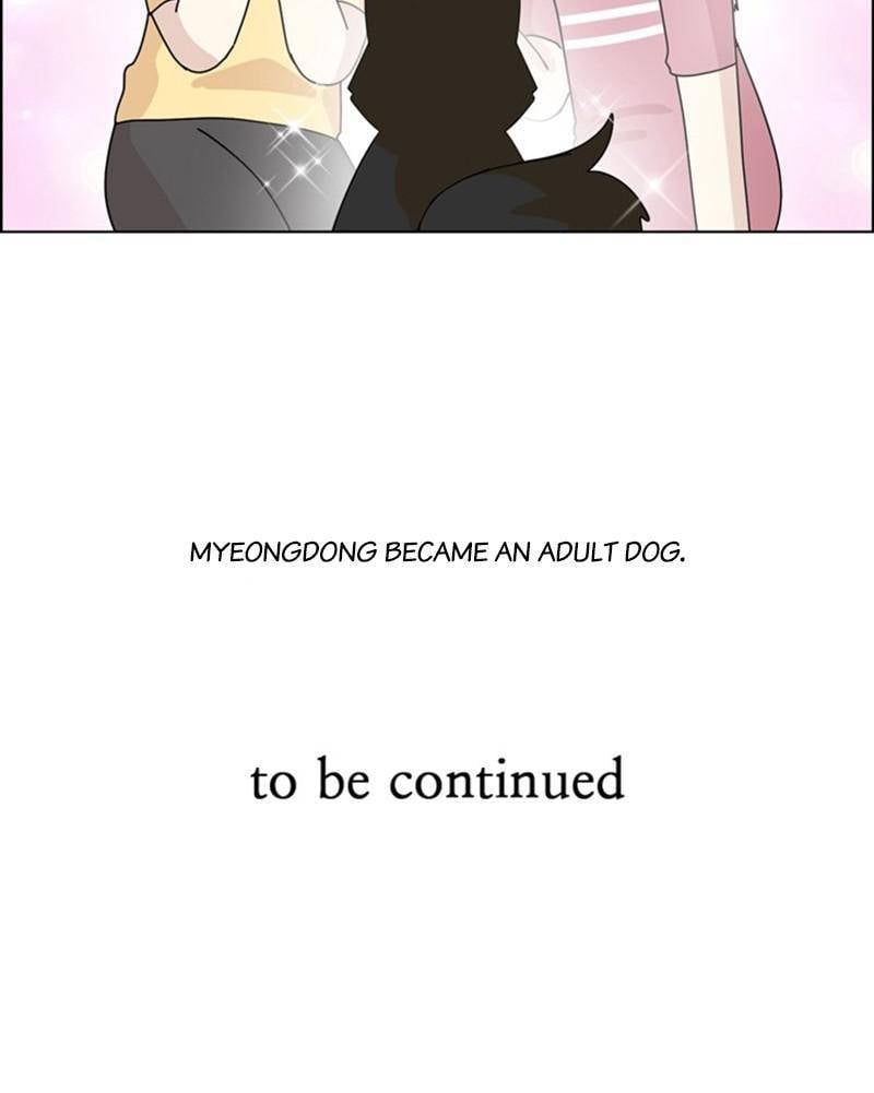 The Dog Diaries Chapter 24 - page 58