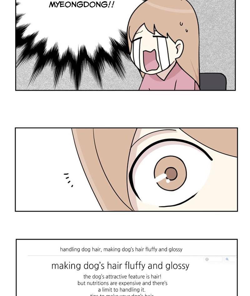 The Dog Diaries Chapter 23 - page 12