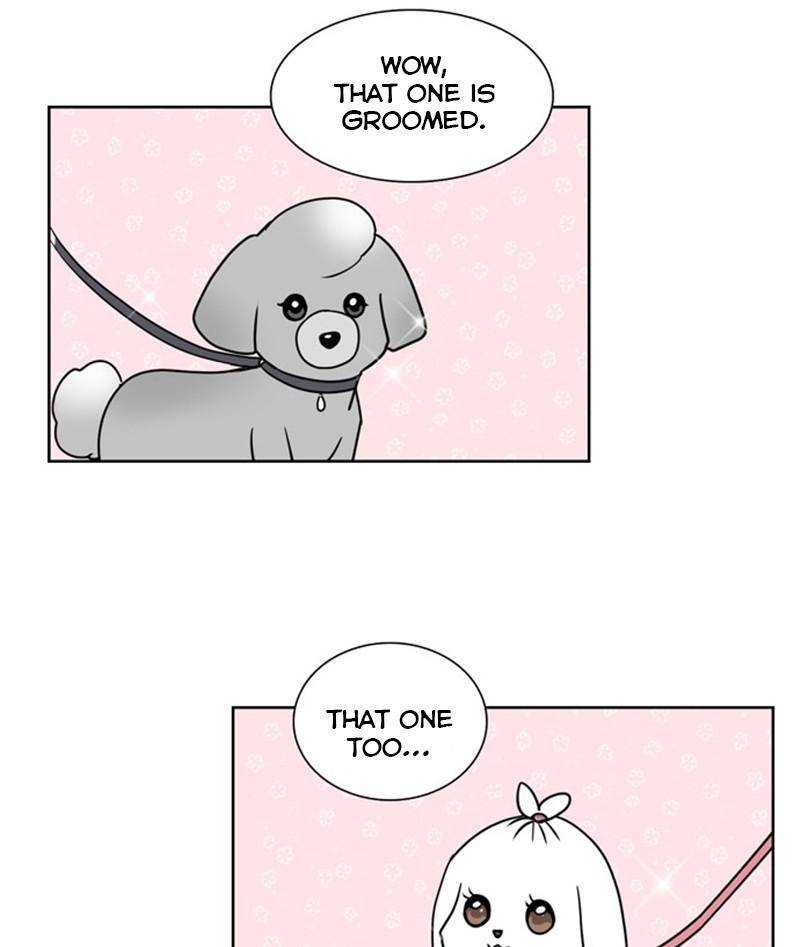 The Dog Diaries Chapter 23 - page 30