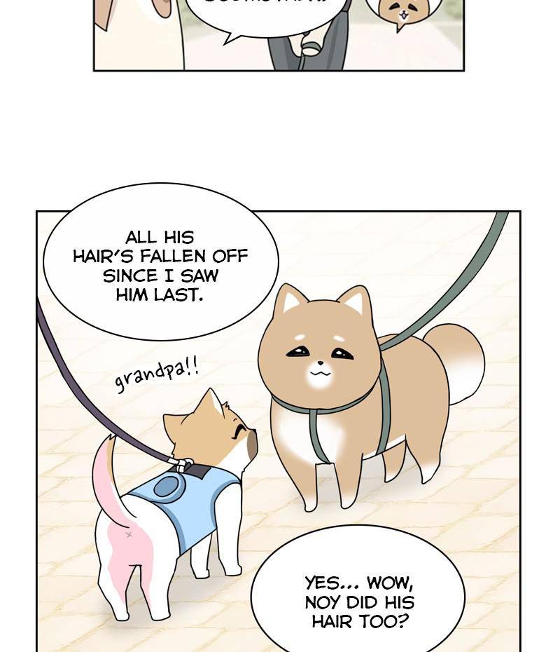 The Dog Diaries Chapter 23 - page 35