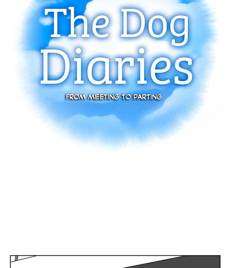 The Dog Diaries Chapter 21 - page 15