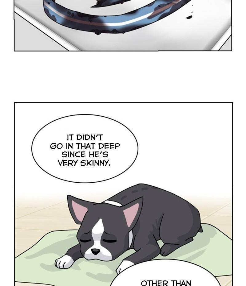 The Dog Diaries Chapter 21 - page 18