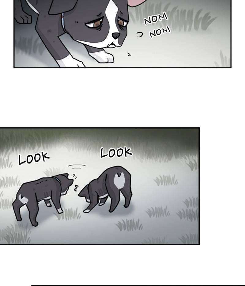 The Dog Diaries Chapter 20 - page 27