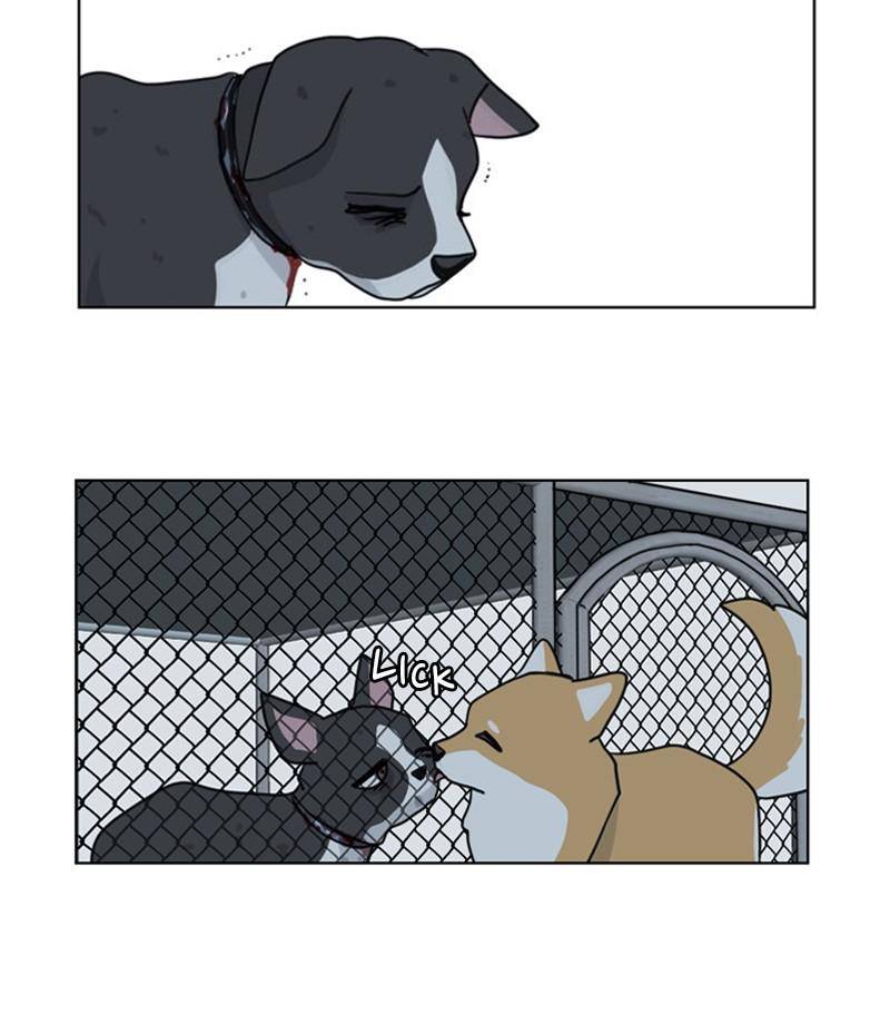 The Dog Diaries Chapter 20 - page 40