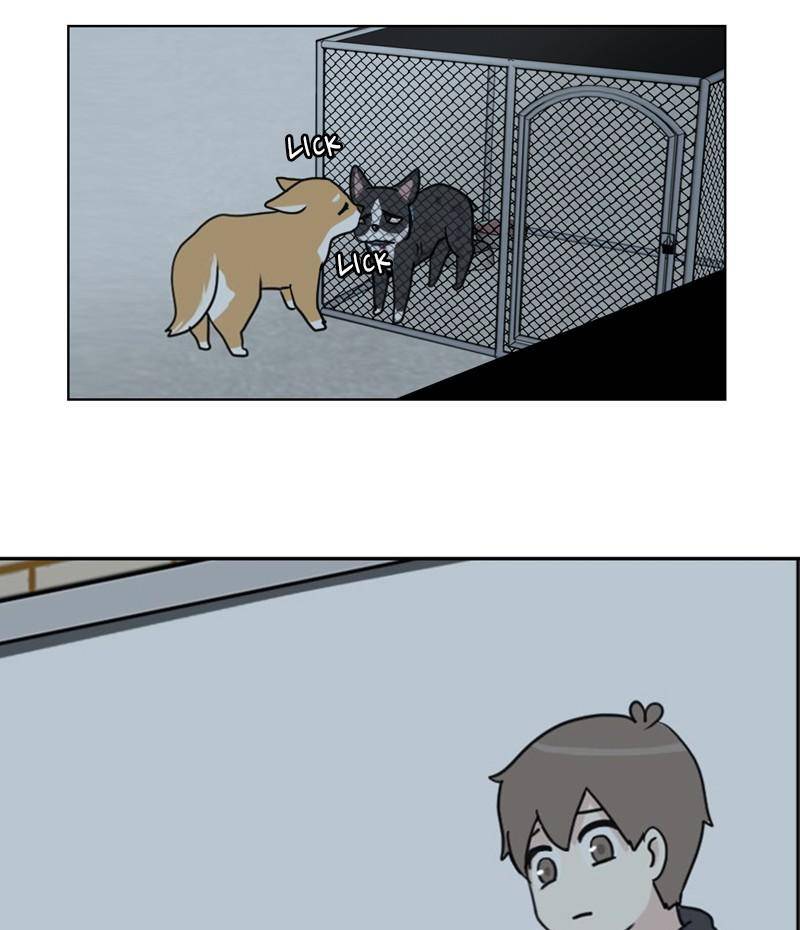 The Dog Diaries Chapter 20 - page 41