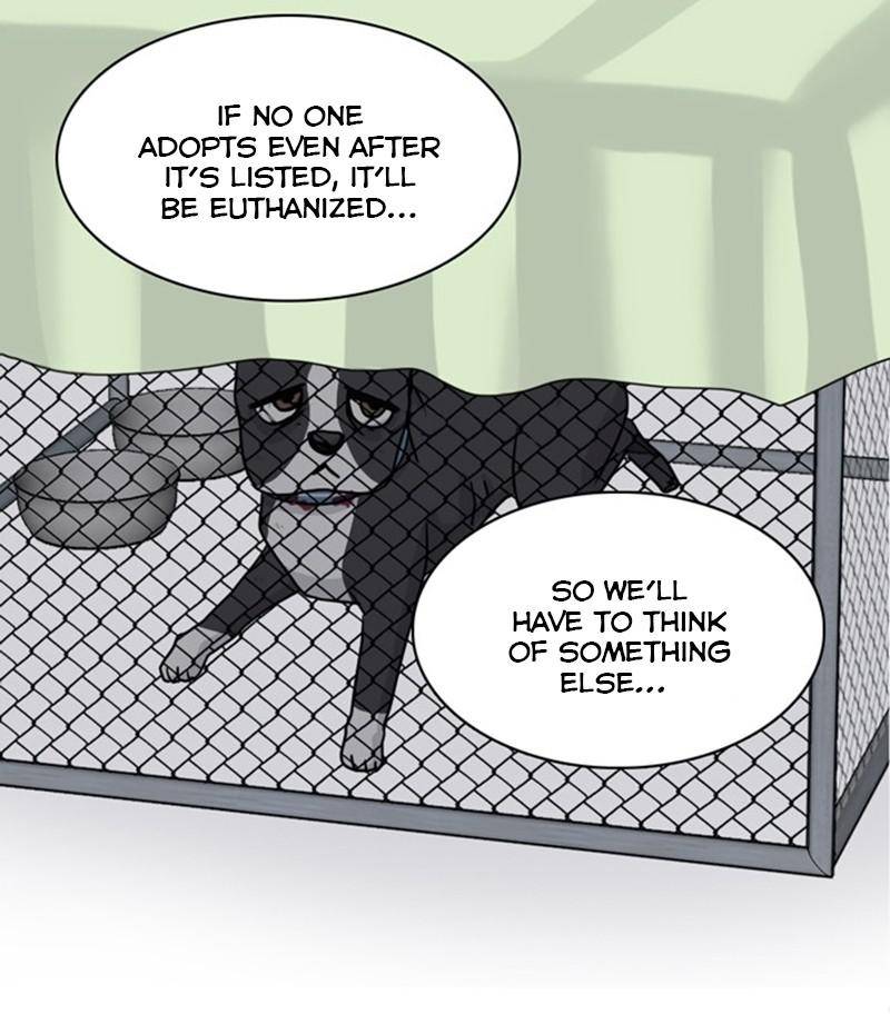 The Dog Diaries Chapter 20 - page 63