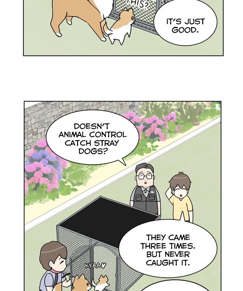 The Dog Diaries Chapter 19 - page 21