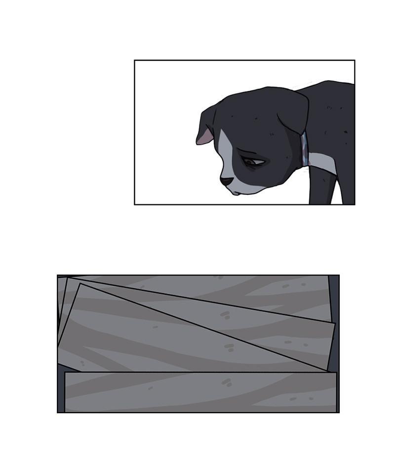 The Dog Diaries Chapter 19 - page 47