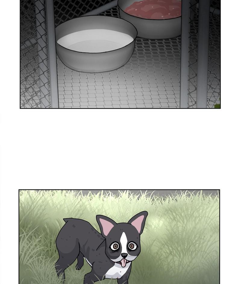 The Dog Diaries Chapter 19 - page 57