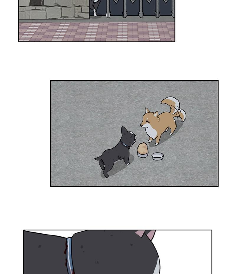 The Dog Diaries Chapter 18 - page 28