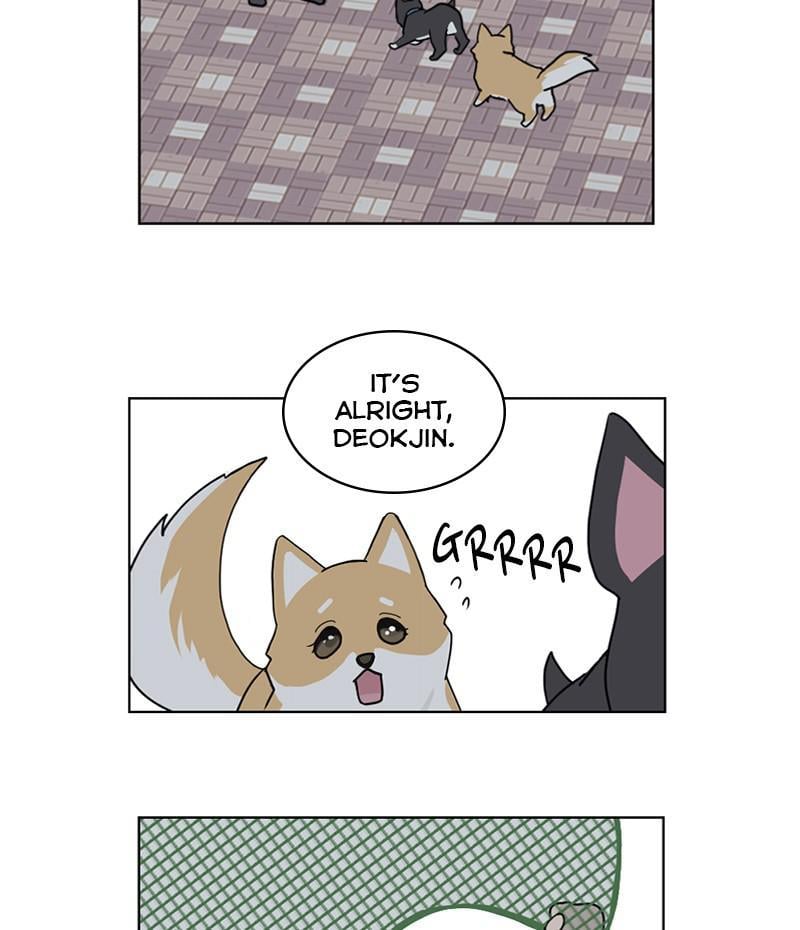 The Dog Diaries Chapter 18 - page 31