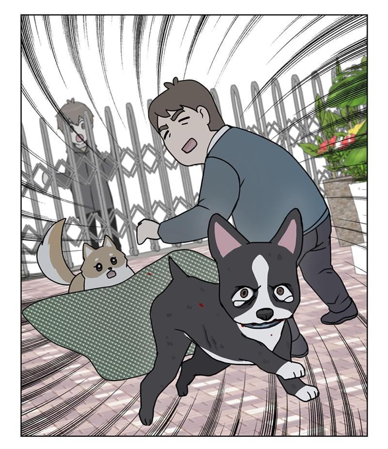 The Dog Diaries Chapter 18 - page 33