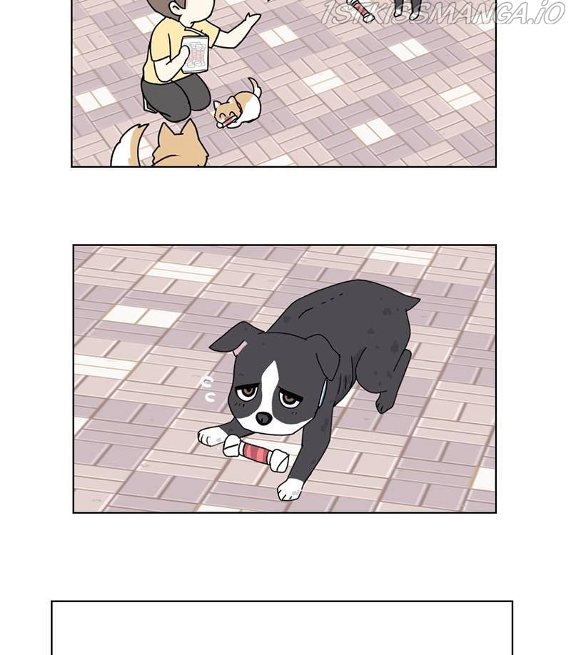 The Dog Diaries Chapter 17 - page 47