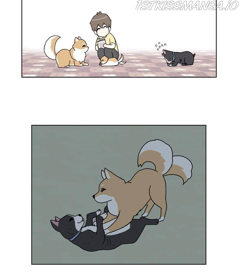 The Dog Diaries Chapter 17 - page 48