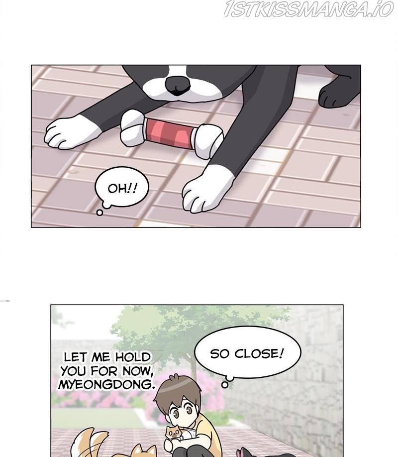 The Dog Diaries Chapter 17 - page 50