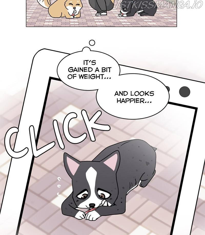 The Dog Diaries Chapter 17 - page 51