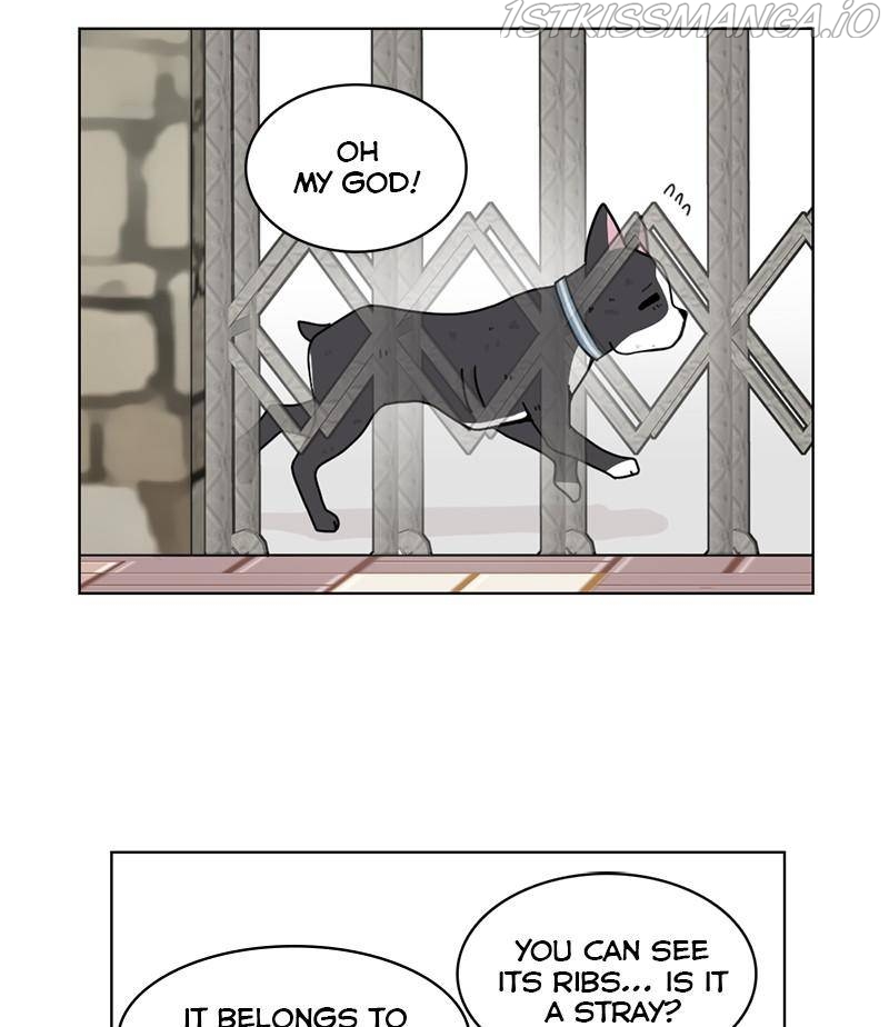 The Dog Diaries Chapter 17 - page 8