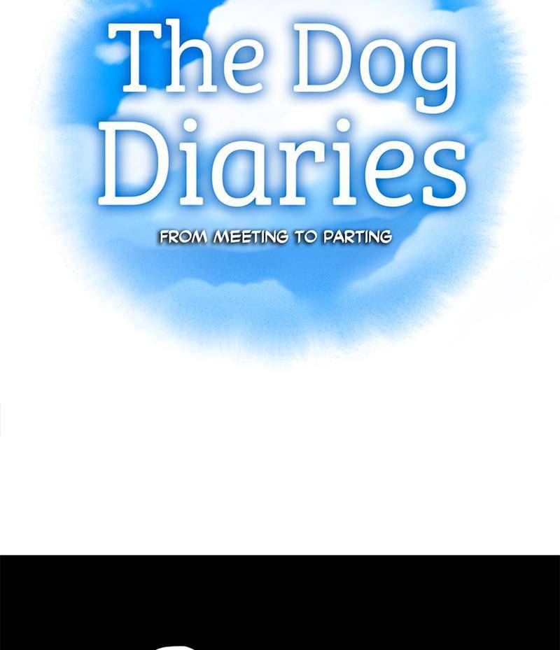 The Dog Diaries Chapter 16 - page 17