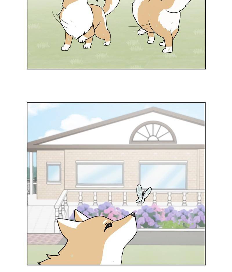 The Dog Diaries Chapter 16 - page 54