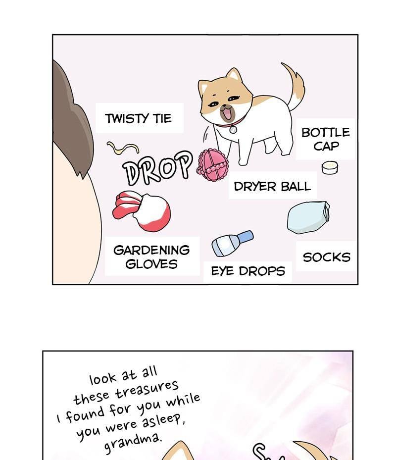 The Dog Diaries Chapter 16 - page 6