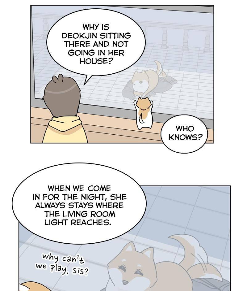 The Dog Diaries Chapter 15 - page 44