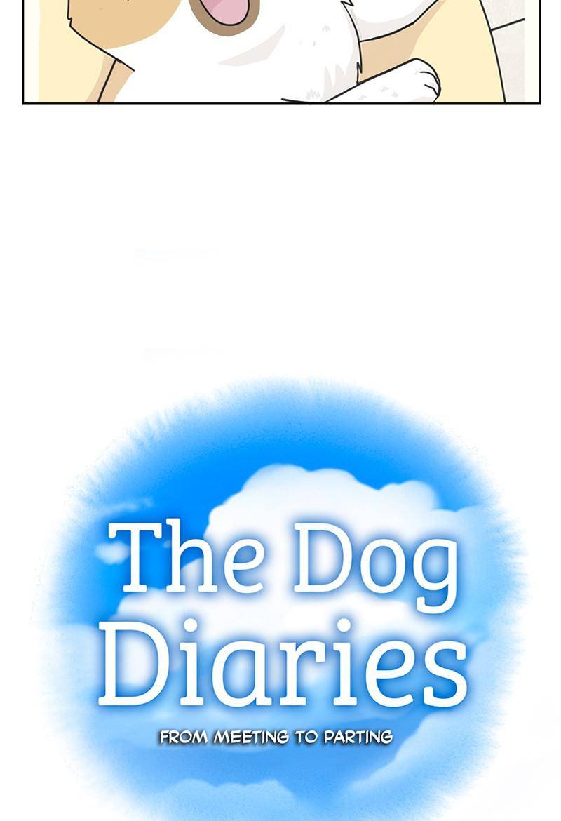 The Dog Diaries Chapter 13 - page 13