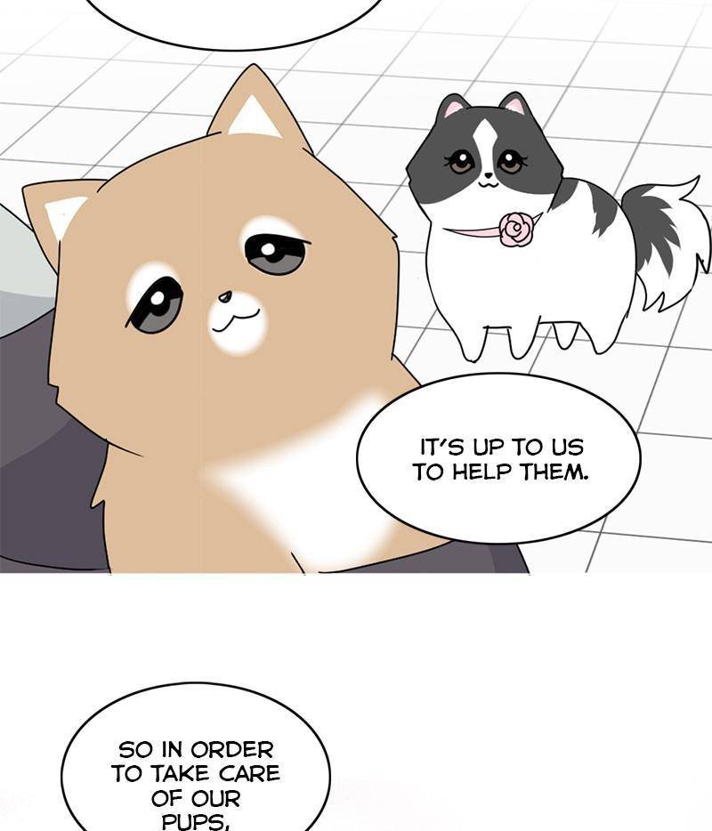 The Dog Diaries Chapter 12 - page 41