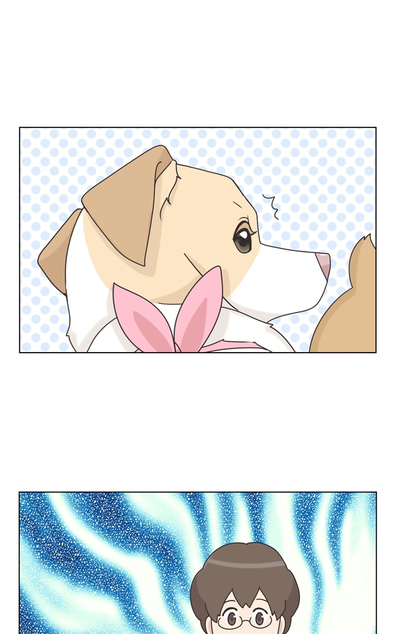 The Dog Diaries Chapter 115 - page 32